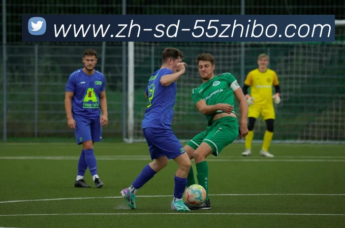 App Interface Preview